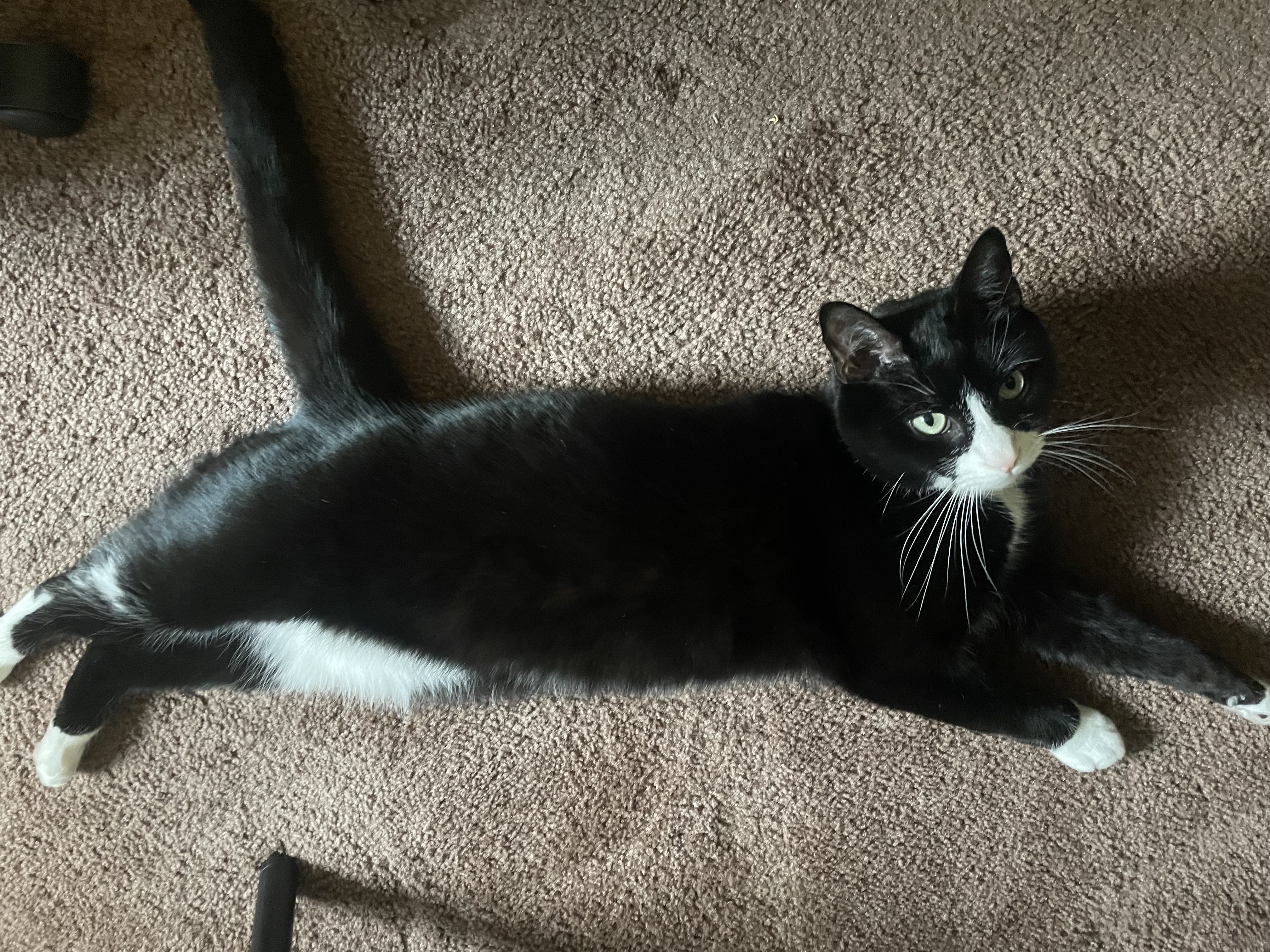 Eugene